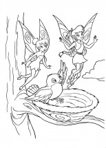 Феи пролетают мимо гнезда с птичкой - раскраска					№1305