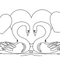 Два влюбленных лебедя - раскраска №1334