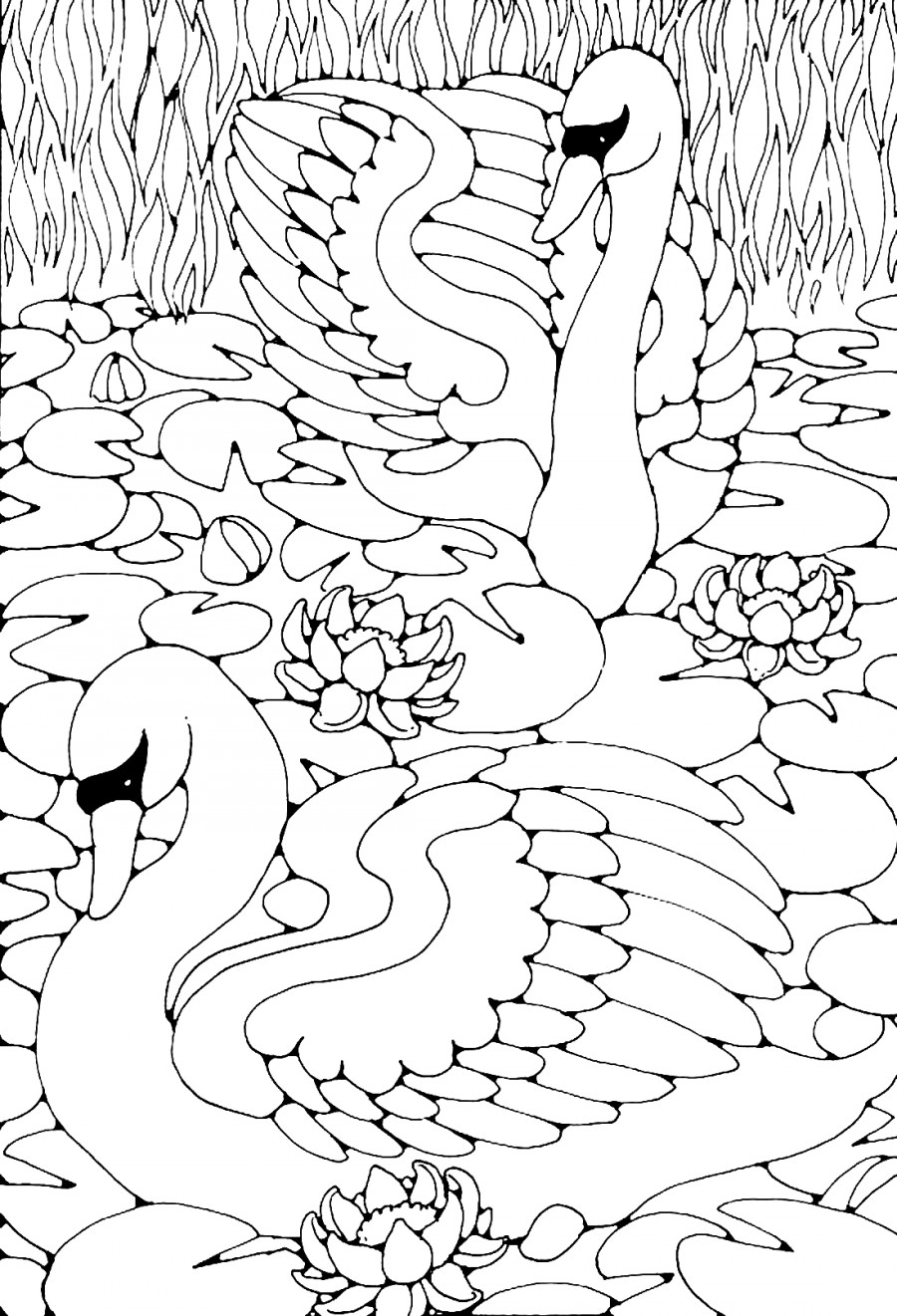 Лебеди в пруду - раскраска №2245