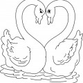 Лебеди вдвоем - раскраска №2212