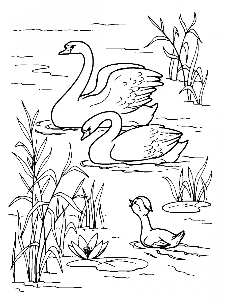 Детский рисунок лебедь на озере