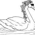 Лебедь в венке - раскраска №11415