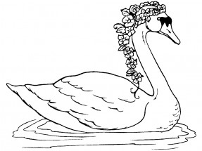 Лебедь в венке - раскраска					№11415