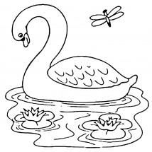 Лебедь и лилии - раскраска					№12498