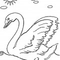 Лебедь и солнышко - раскраска №2130