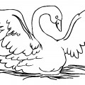 Лебедь машет крыльями - раскраска №3978
