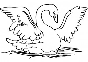 Лебедь машет крыльями - раскраска					№3978