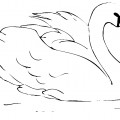 Лебедь плавает - раскраска №14039