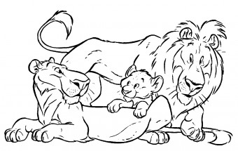 Семейство львов - раскраска					№12685