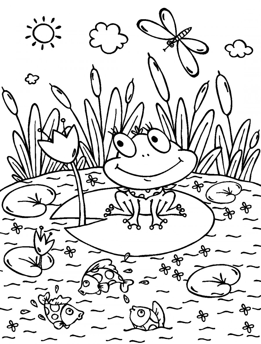 Лягушка на болоте - раскраска №3086
