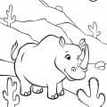 Носорог в пустыне - раскраска №6646