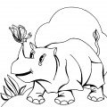 Носорог и бабочка - раскраска №2107