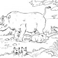 Носорог и другие звери - раскраска №2057