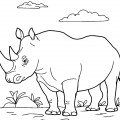 Носорог на лужайке - раскраска №2789
