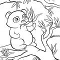 Панда на дереве - раскраска №2119