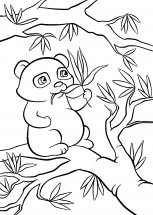 Панда на дереве - раскраска					№2119
