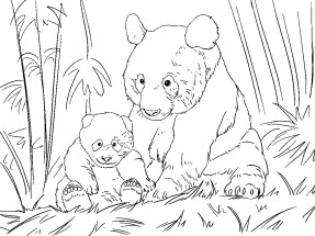 Панда с малышом - раскраска					№2298