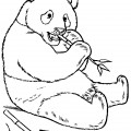 Панда сидя кушает бамбук - раскраска №12628