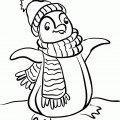 Пингвин в шарфике и  шапке - раскраска №2294
