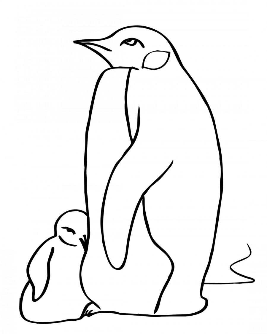 Пингвиненок с мамой - раскраска №2040
