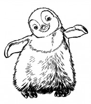 Пишистый пингвиненок - раскраска					№2784