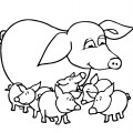 Свинка с детками - раскраска №8057