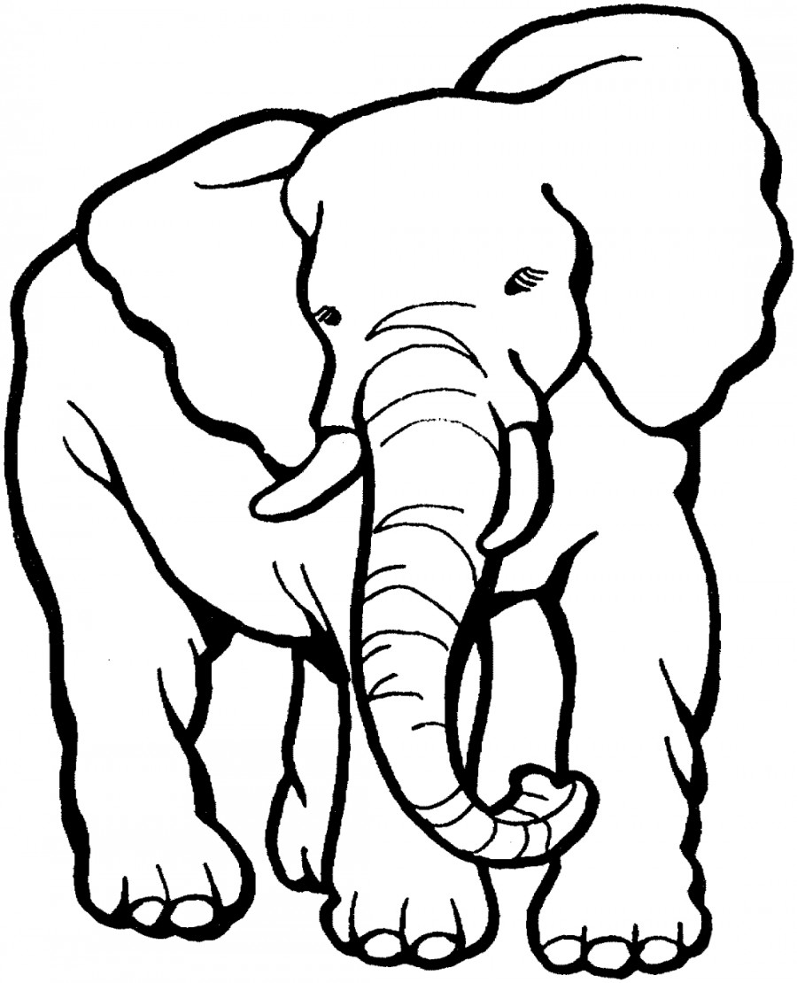 Слон большой - раскраска №2124