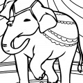 Слон в цирке - раскраска №13472