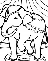 Слон в цирке - раскраска					№13472