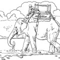 Слон и человек - раскраска №2349
