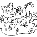 Тигр на лужайке - раскраска №1539