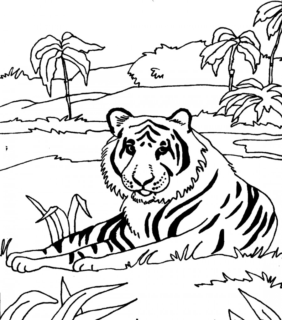 Тигр отдыхает - раскраска №2058