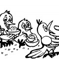 Ворона с детьми - раскраска №13724