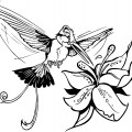 Красивая колибри - раскраска №12453