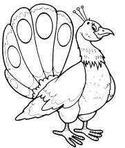 Павлин похож на курицу - раскраска					№3954