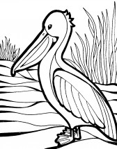 Пеликан в траве - раскраска					№3982