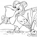 Пеликан рыболов - раскраска №5320