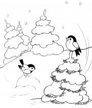 Снегири в лесу зимой - раскраска					№11754