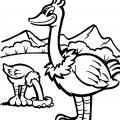 Два страуса - раскраска №1792