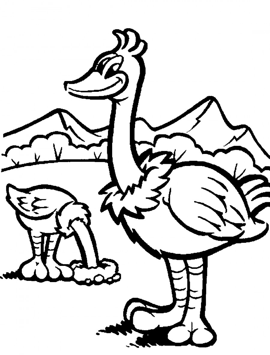 Два страуса - раскраска №1792