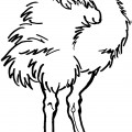 Пушистый страус - раскраска №2291