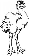 Пушистый страус - раскраска					№2291