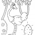 Страус снес яйцо - раскраска №2098
