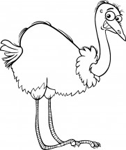 Улыбчивый страус - раскраска					№11272