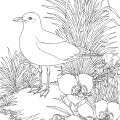Чайка и цветы - раскраска №2237