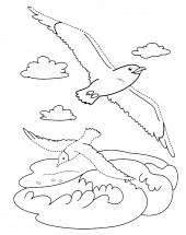 Чайки над волнами - раскраска					№2226
