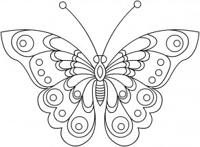 Бабочка махаон - раскраска					№10004
