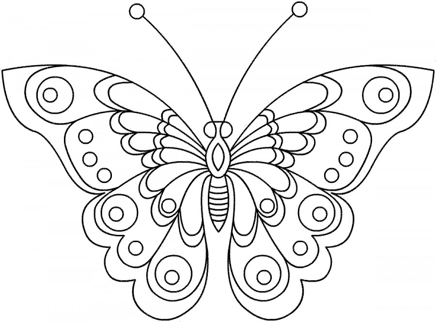 Бабочка махаон - раскраска №10004