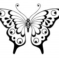 Бабочка с черным ободком - раскраска №10375