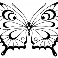 Красивая бабочка - раскраска №9698